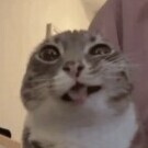 AsmodeyChan